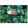 Malas Mulher Bolsa Rovicky RTZ1560571561 