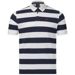 Textil Homem T-Shirt mangas curtas Musto Original Striped Ss Polo Branco, Azul marinho