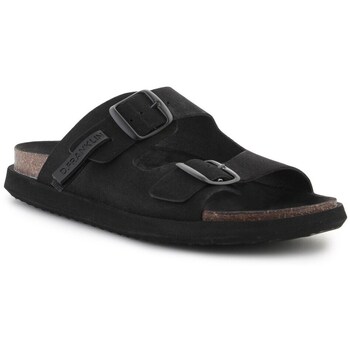Sapatos Mulher Sapatos & Richelieu D.Franklin Vibe 