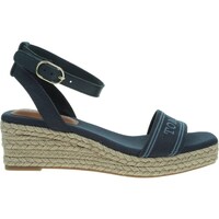 Sapatos Mulher Sapatos & Richelieu Tommy Hilfiger FW0FW08805DW6 