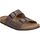 Sapatos Homem Sandálias Interbios 9560 Castanho