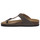 Sapatos Homem Chinelos Gold Star STARTEK TORTORA Bege