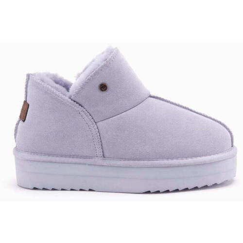 Sapatos Mulher Botins Warmbat Willow Violeta