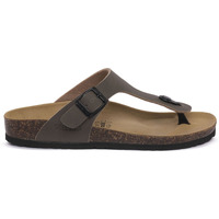 Sapatos Homem Chinelos Gold Star STARTEK TORTORA Bege
