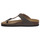 Sapatos Homem Chinelos Gold Star STARTEK TORTORA Bege