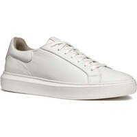 Sapatos Homem Sapatilhas Geox  Branco