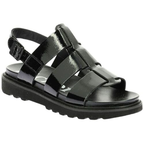 Kickers  Preto