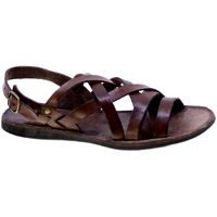 Sapatos Mulher Sandálias Brador 145192 Castanho