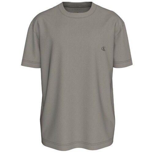 Textil Homem T-Shirt mangas curtas Calvin Klein Jeans J30J327078 Cinza