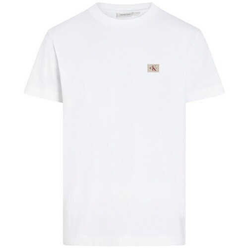Textil Homem T-Shirt mangas curtas Calvin Klein Jeans J30J327100 Branco