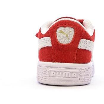 Puma  Vermelho