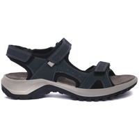Sapatos Mulher Sandálias IgI&CO LEXA AZZURRO Azul