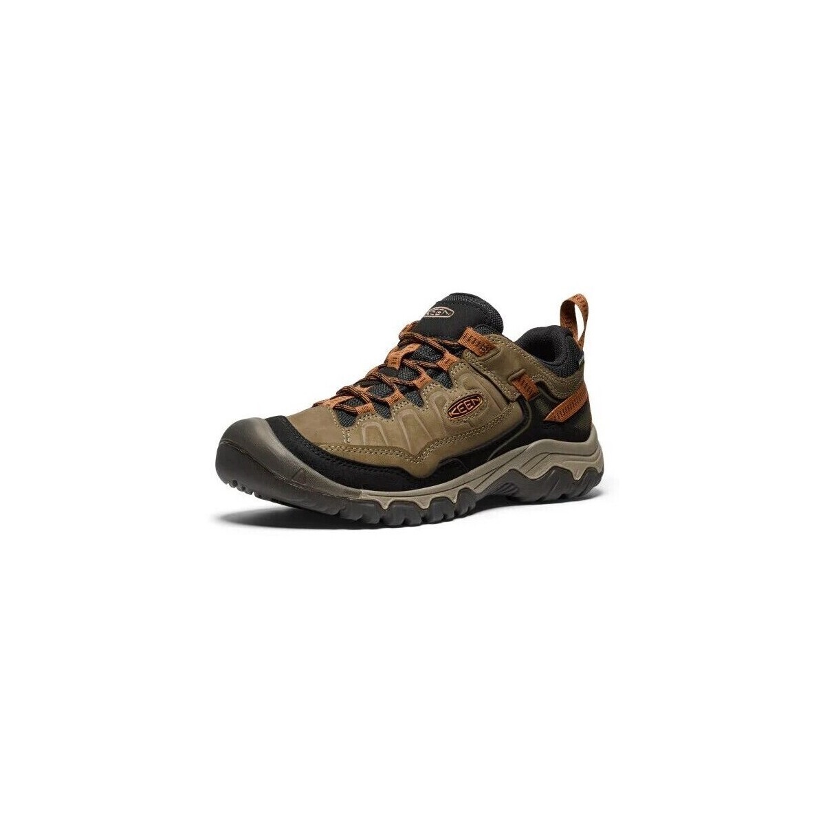 Sapatos Homem Sapatos de caminhada Keen Targhee Iv Wp Verde