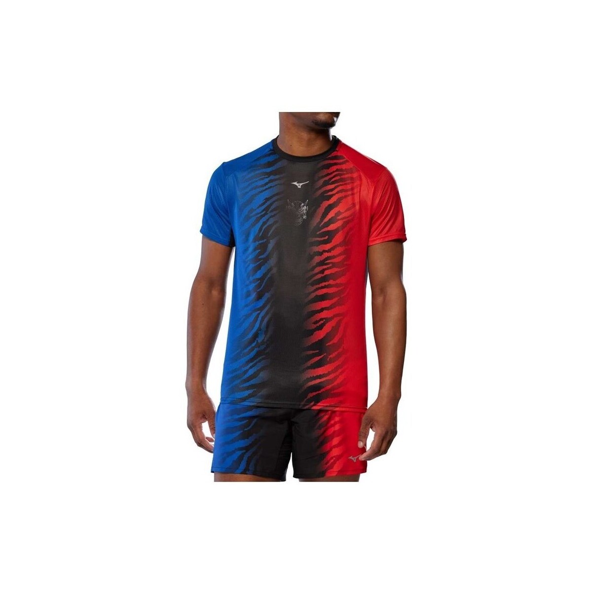 Textil Homem T-Shirt mangas curtas Mizuno J2GAC00599 