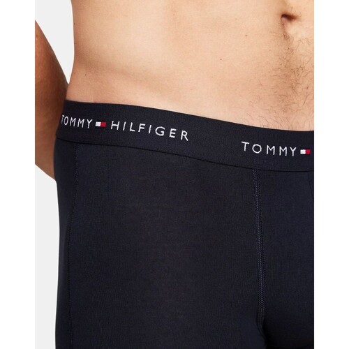 Tommy Hilfiger UM0UM027630W3 3P WB TRUNK Multicolor