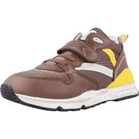 Sapatos Rapaz Sapatilhas Biomecanics 231232B Castanho