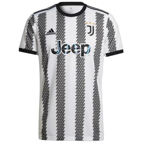 Textil Homem T-shirts e Pólos adidas Originals  Preto