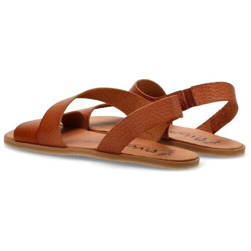 Vivant 79712 Castanho