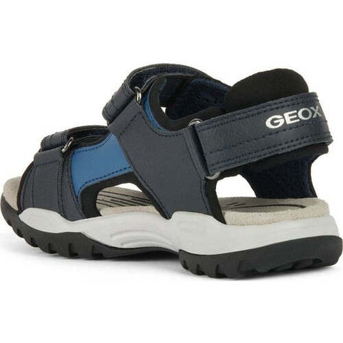 Geox  Azul