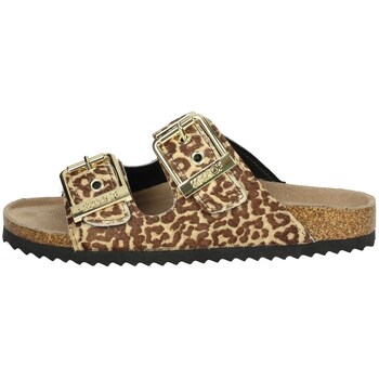 Sapatos Mulher chinelos Colors of California HC.BIO502 Castanho