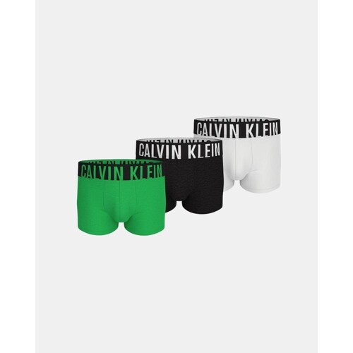Roupa de interior Homem Boxer Calvin Klein Jeans 000NB3608AVVP TRUNK 3PK Multicolor