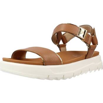 Geox D XAND 2.1S B