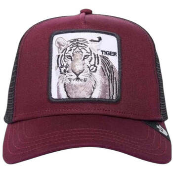 Acessórios Criança Chapéu Goorin Bros Cappello Outros