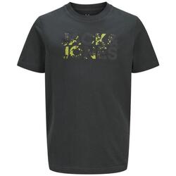 Textil Rapaz T-shirts e Pólos Jack & Jones  Azul