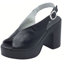 Sapatos Mulher Sandálias NeroGiardini E513645D Tamigi Preto