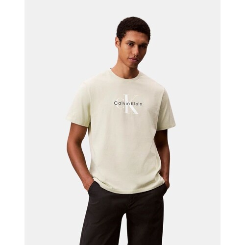 Textil Homem T-Shirt mangas curtas Calvin Klein Jeans LV04RB862G Verde