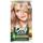 beleza Mulher Coloração Garnier  Multicolor