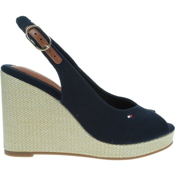 Sapatos Mulher Sapatos & Richelieu Tommy Hilfiger FW0FW08597DW6 