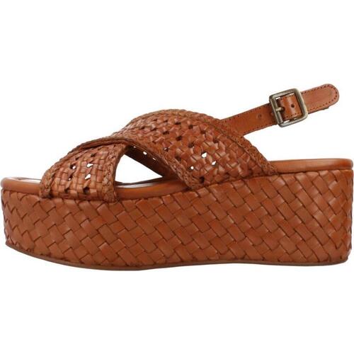 Carmela 161638c Castanho