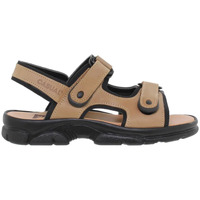 Sapatos Homem Sapatos & Richelieu Casual | Taupe Couro XL Sandálias | Homens Cáqui