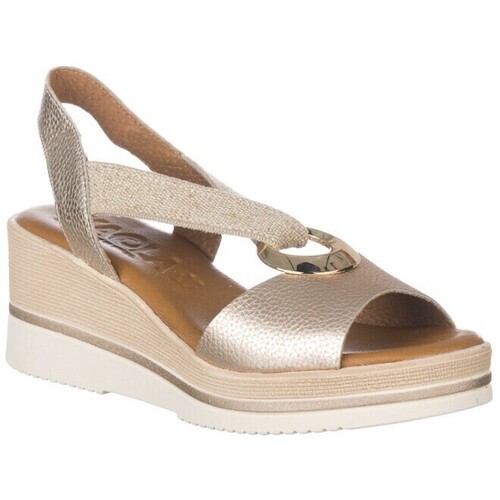 Zapp 1612 Ouro