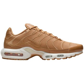 Sapatos Homem Sapatos & Richelieu Nike Air Max Plus 