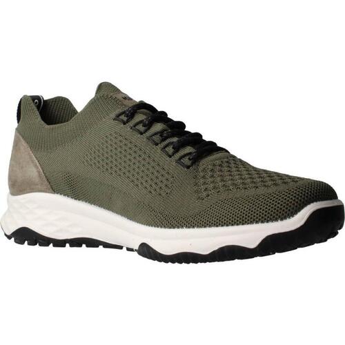 IgI&CO 3617522 Verde