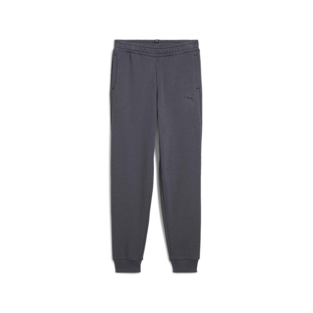 Textil Rapaz Calças de treino Puma  Cinza