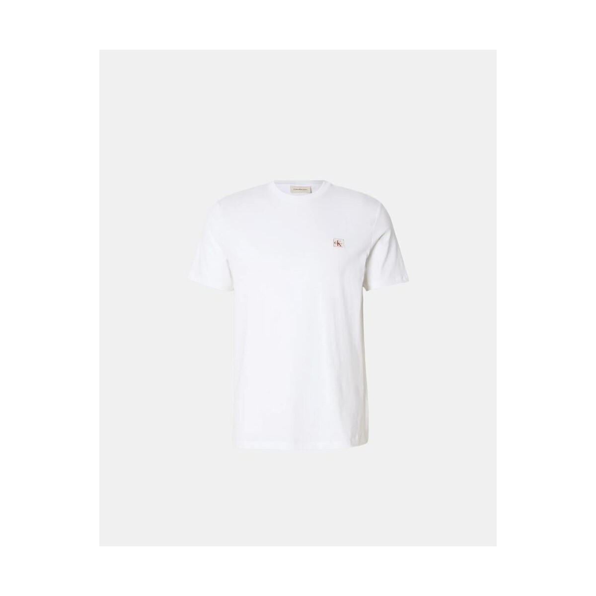 Textil Homem T-Shirt mangas curtas Calvin Klein Jeans LV04RC272G Branco