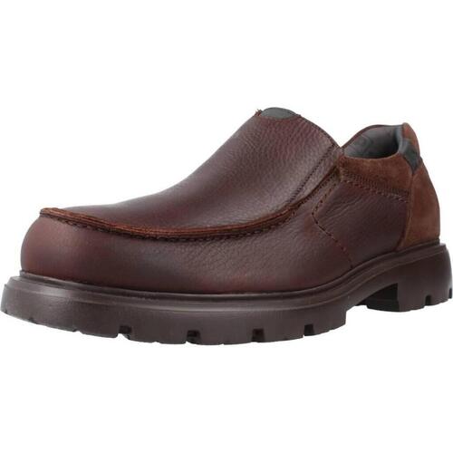 Sapatos Homem Sapatos Pitillos 4930P Castanho