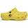 Sapatos Criança Sapatos & Richelieu Crocs Classic Clog 
