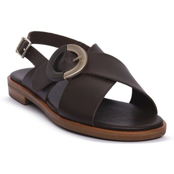 Sapatos Mulher Sapatos & Richelieu Frau 85P6TMO 