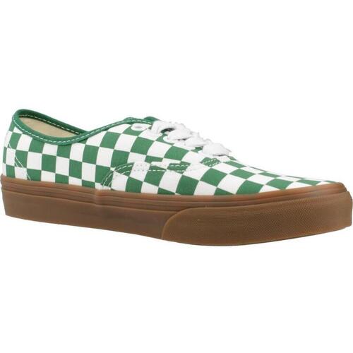 Vans AUTHENTIC FAT LACE CHE Verde
