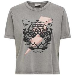 Textil Mulher T-shirts e Pólos JDY  Cinza