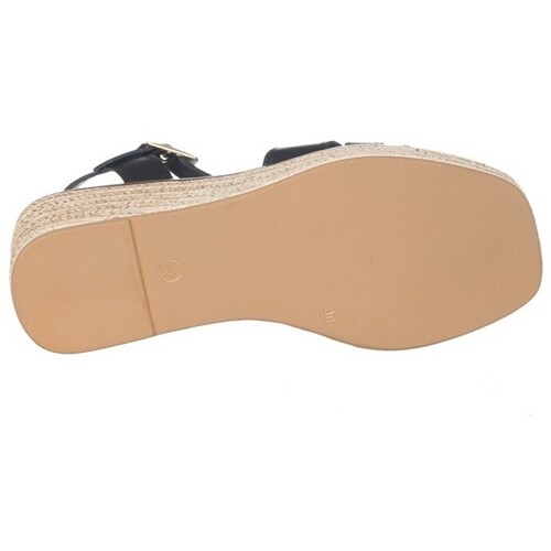 Zapp 4542 Preto