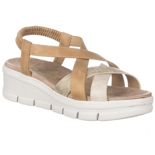 Zapp 28601 Castanho
