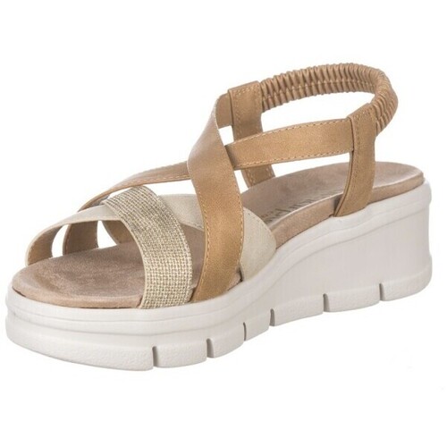 Zapp 28601 Castanho