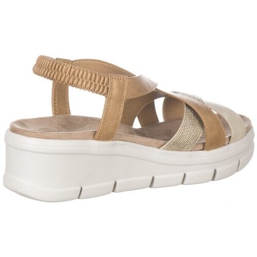 Zapp 28601 Castanho
