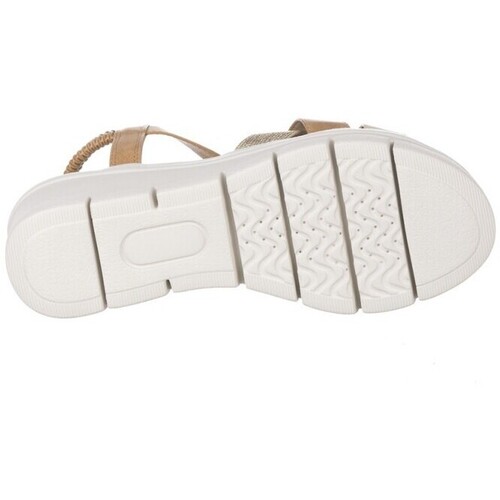 Zapp 28601 Castanho