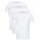 Textil Homem T-shirts e Pólos Pierre Cardin Lote de 3 T-shirts  Homem Branco